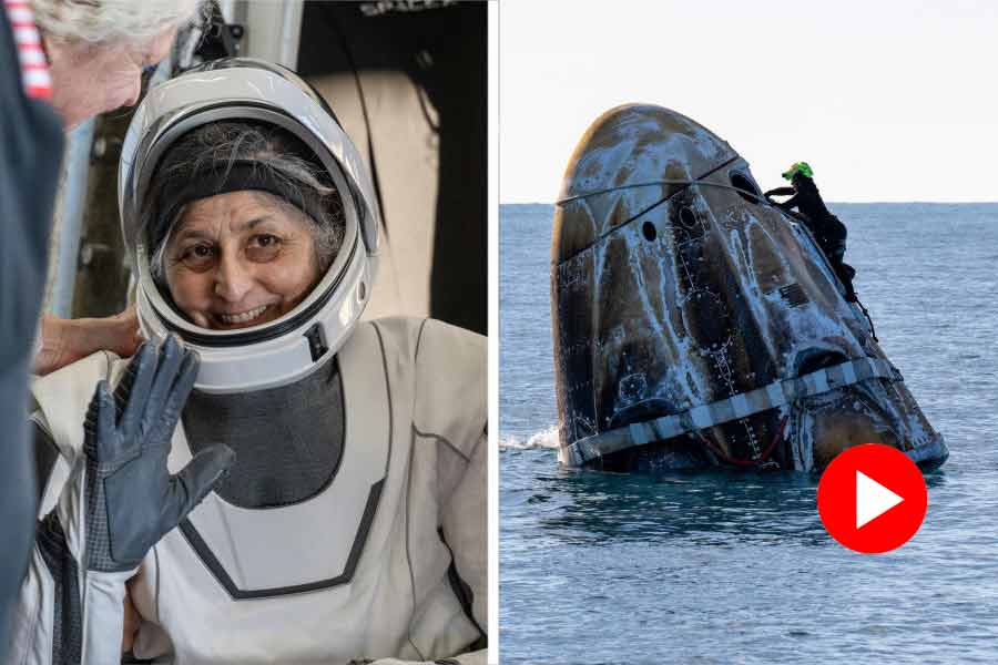 Video of dolphin swimming around Sunita Williams and Butch Wilmore’s spacecraft in Florida sea