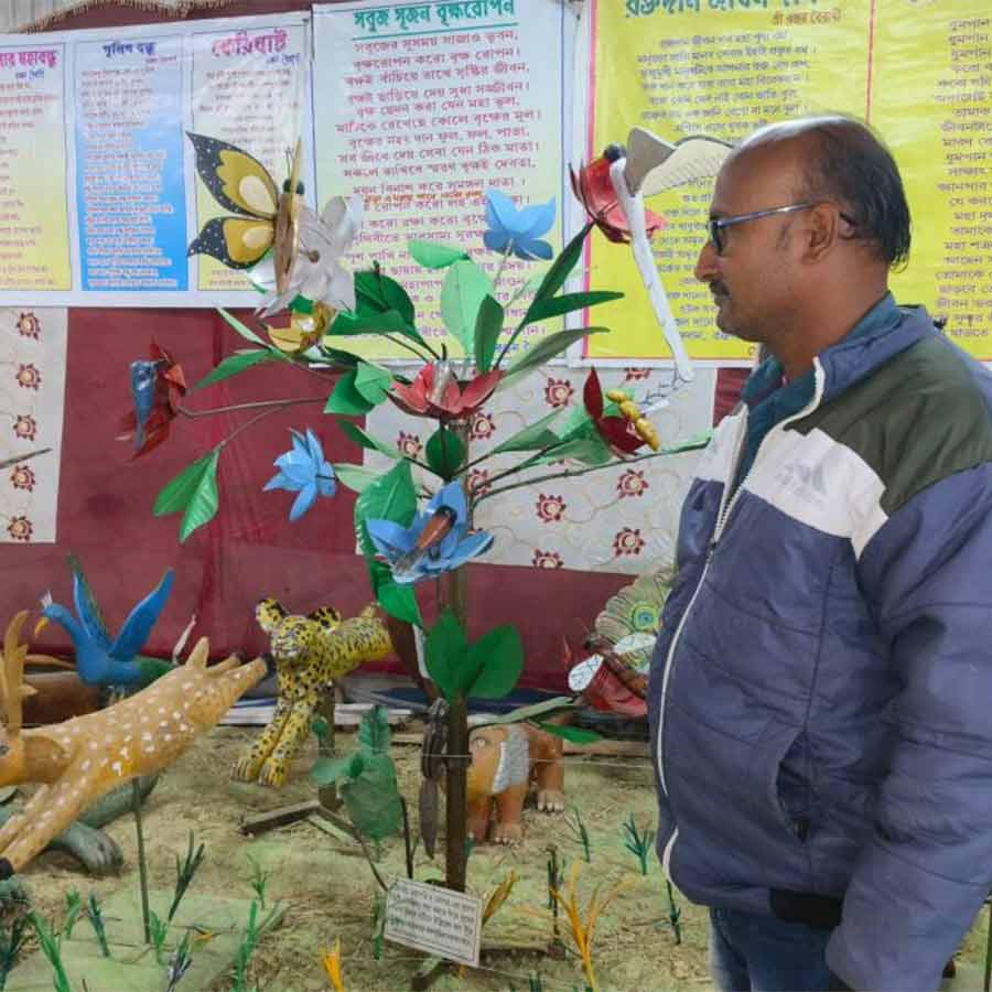 A carpenter promotes wildlife protection in fair at Patrasayer