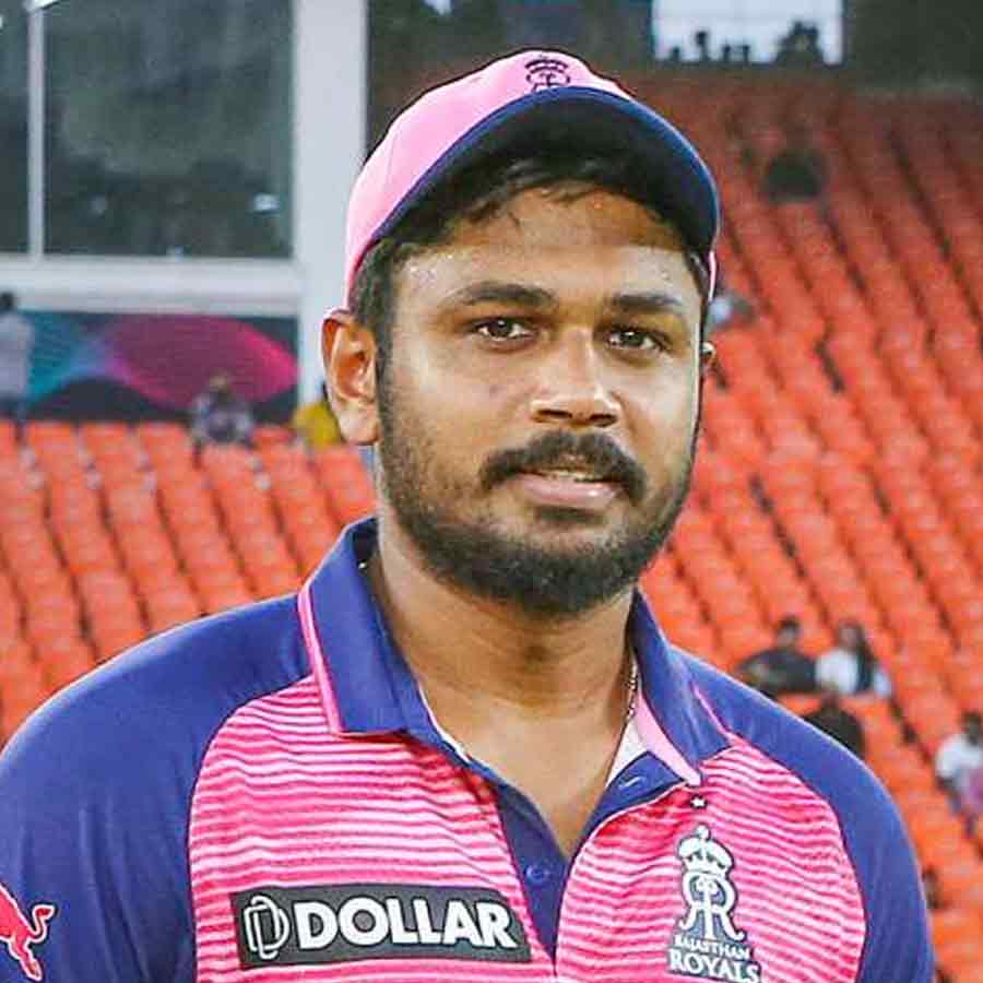 cricket