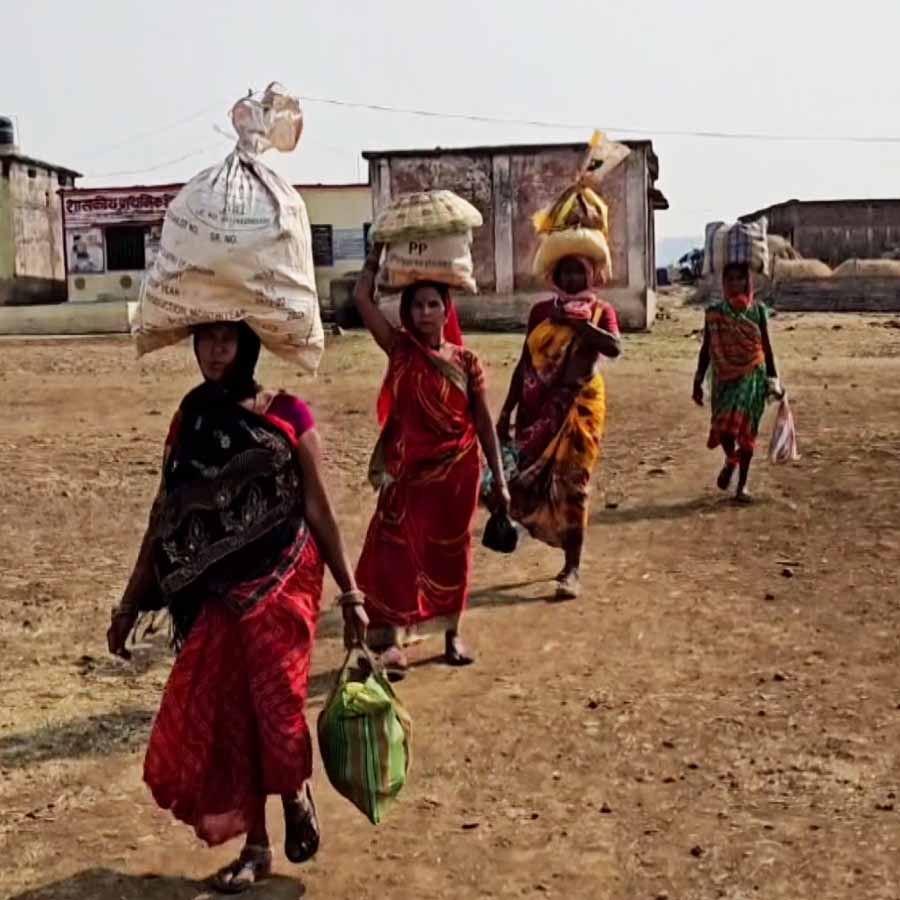 Pipertola village of Madhya Pradesh faces severe water crisis dgtl
