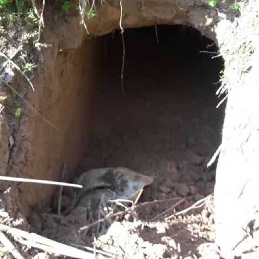Pakistan dug deep tunnels across LoC to send terrorists and soldiers, says Indian Army and BSF intelligence report
