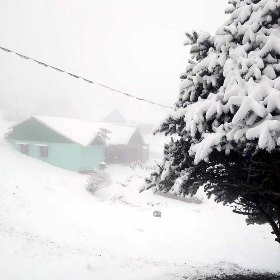 Snowfall in Darjeeling’s Sandakphu and in Parts of Sikkim dgtld