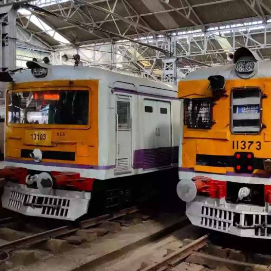 Train service dispute in sealdah division due to broken tree