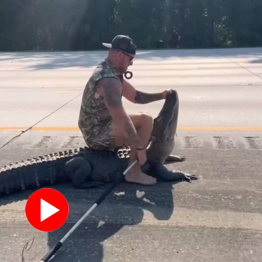 Video of Florida man capturing alligator barefoot goes viral dgtl