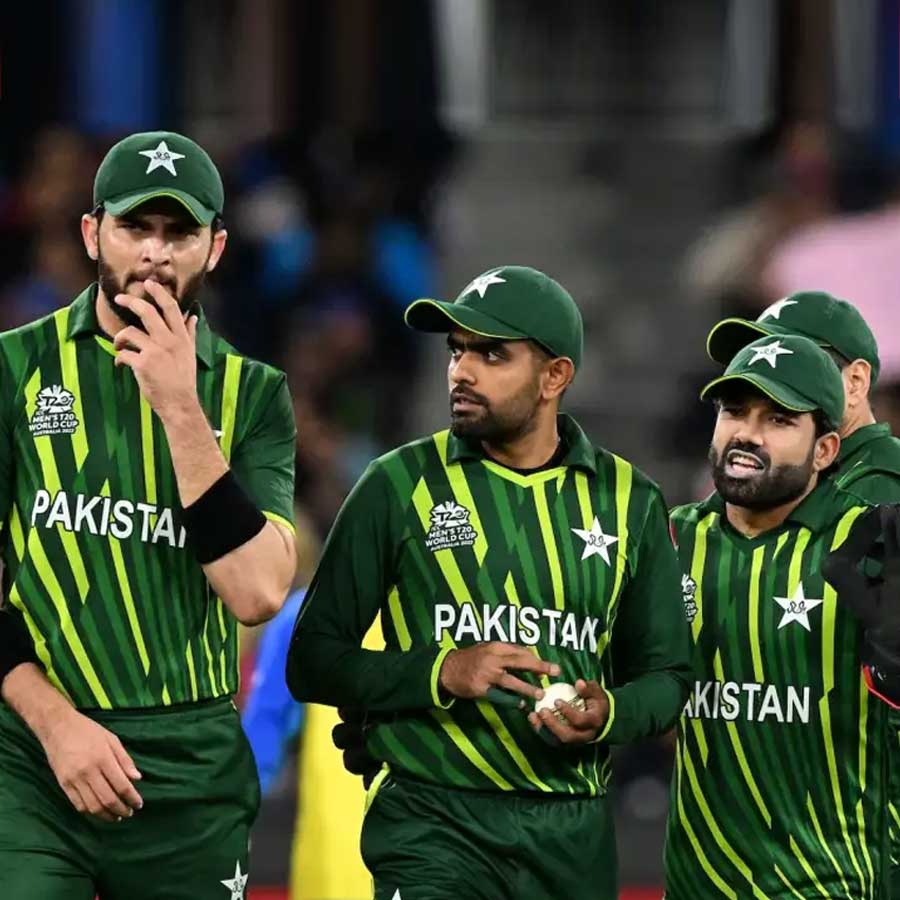 cricket