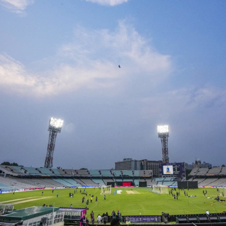 cricket