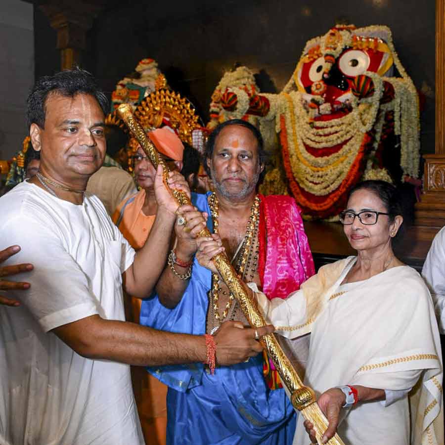image of mamata