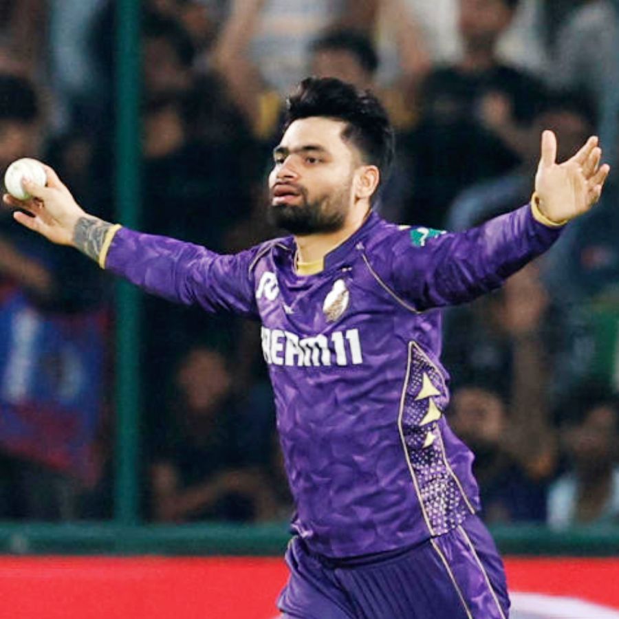 cricket