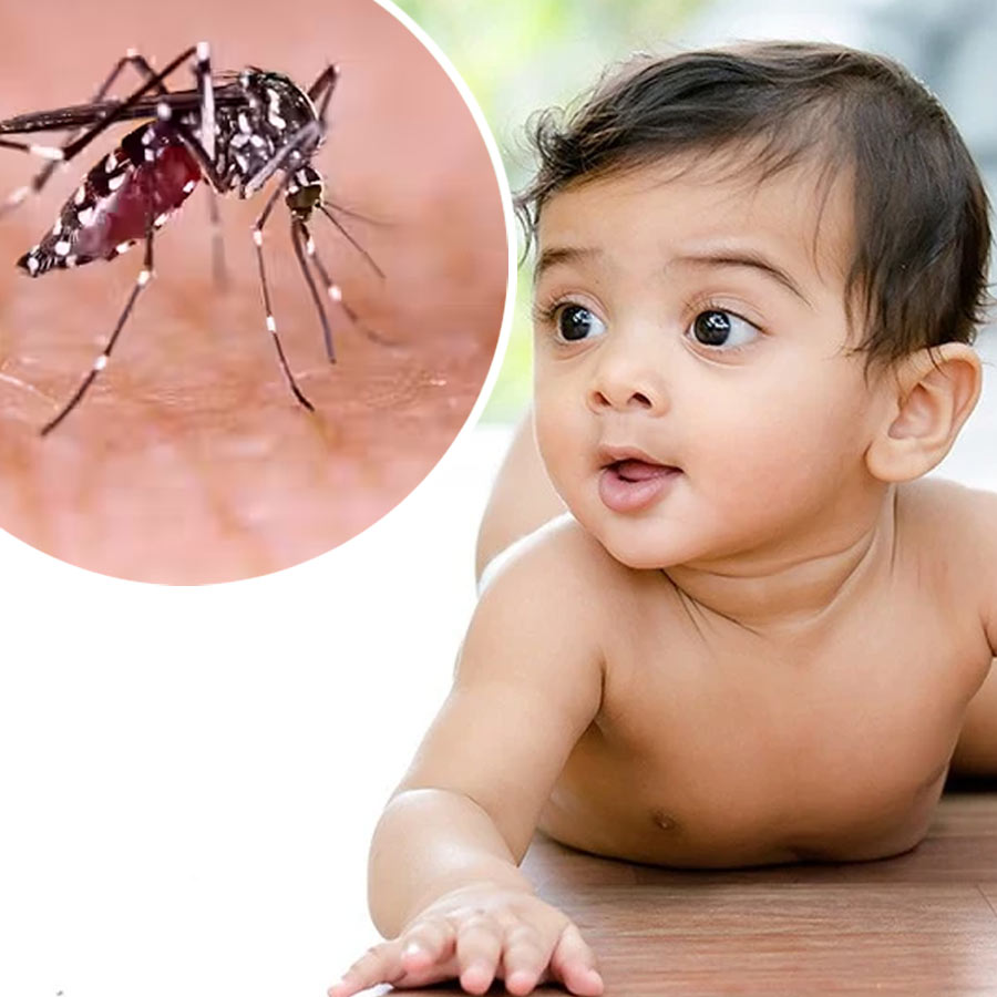 From high fever to bleeding gums, know the warning signs of Dengue in children
