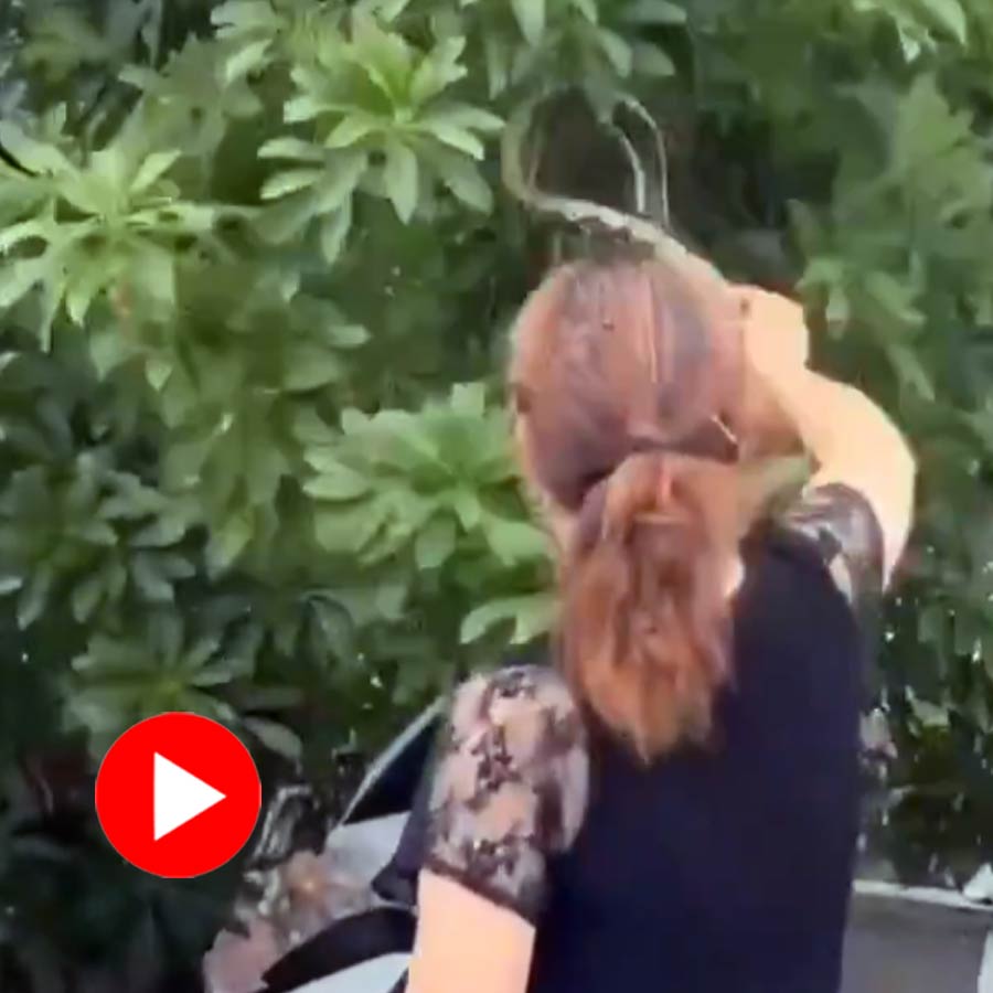 Video of woman catching snake from tree with bare hand goes viral