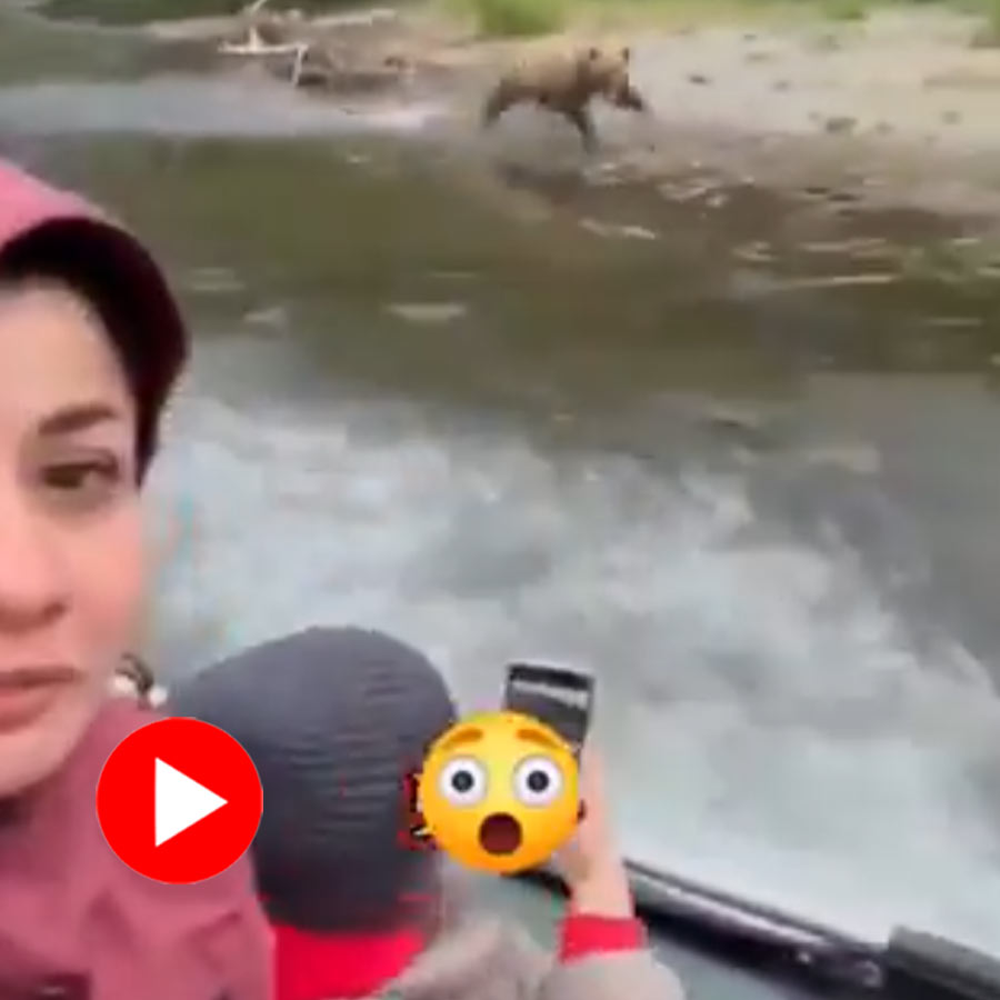 Video shows bear chasing woman in speedboat goes viral