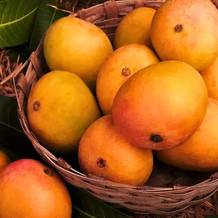 5 tips to keep mangoes fresh longer this summer and prevent spoilage at home