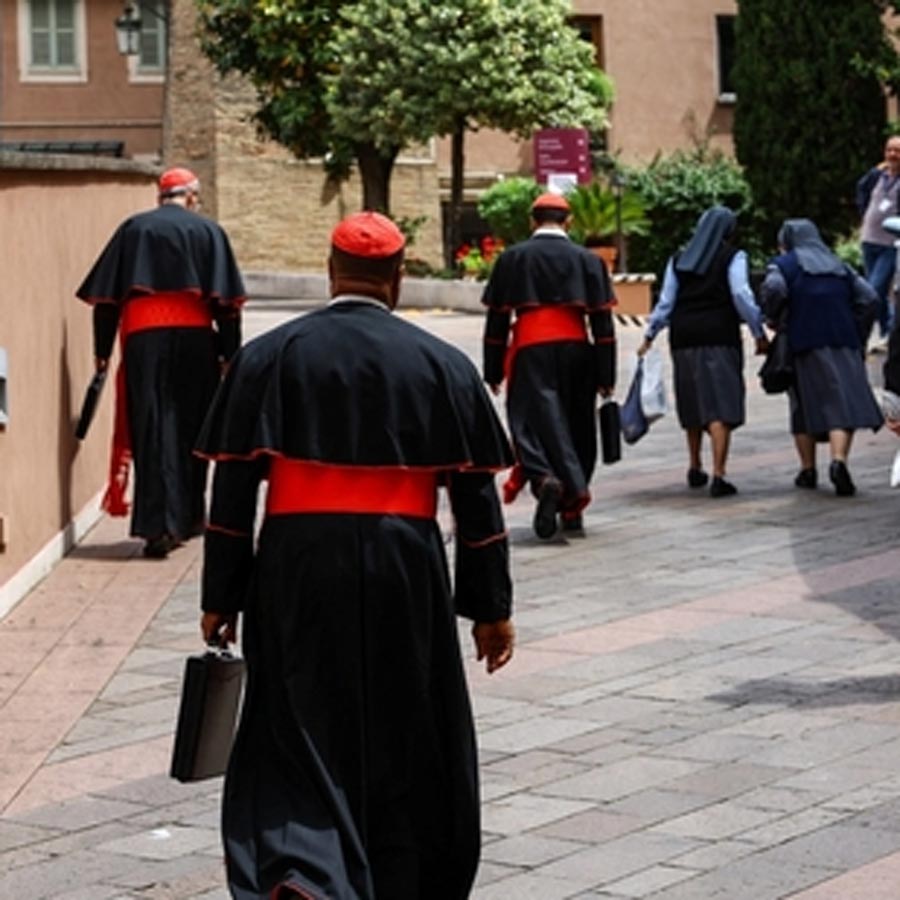All 133 cardinals gather in Rome to elect the successor of Pope Francis dgtl