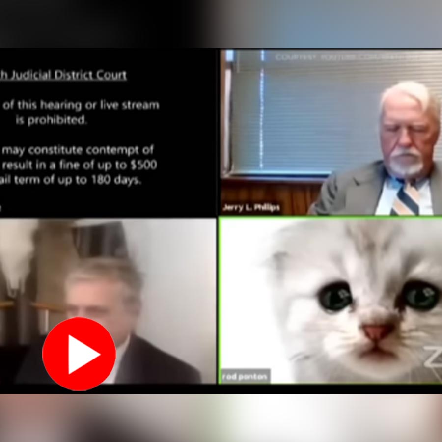 Lawyer accidently uses cat filter during a zoom hearing, funny video goes viral dgtl