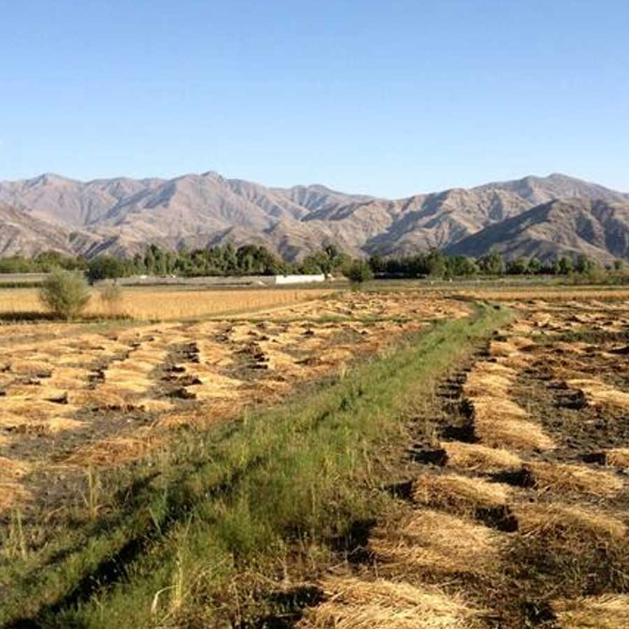 India will gain Baloch and Pashtun support if War breaks out with Pakistan after Operation Sindoor 