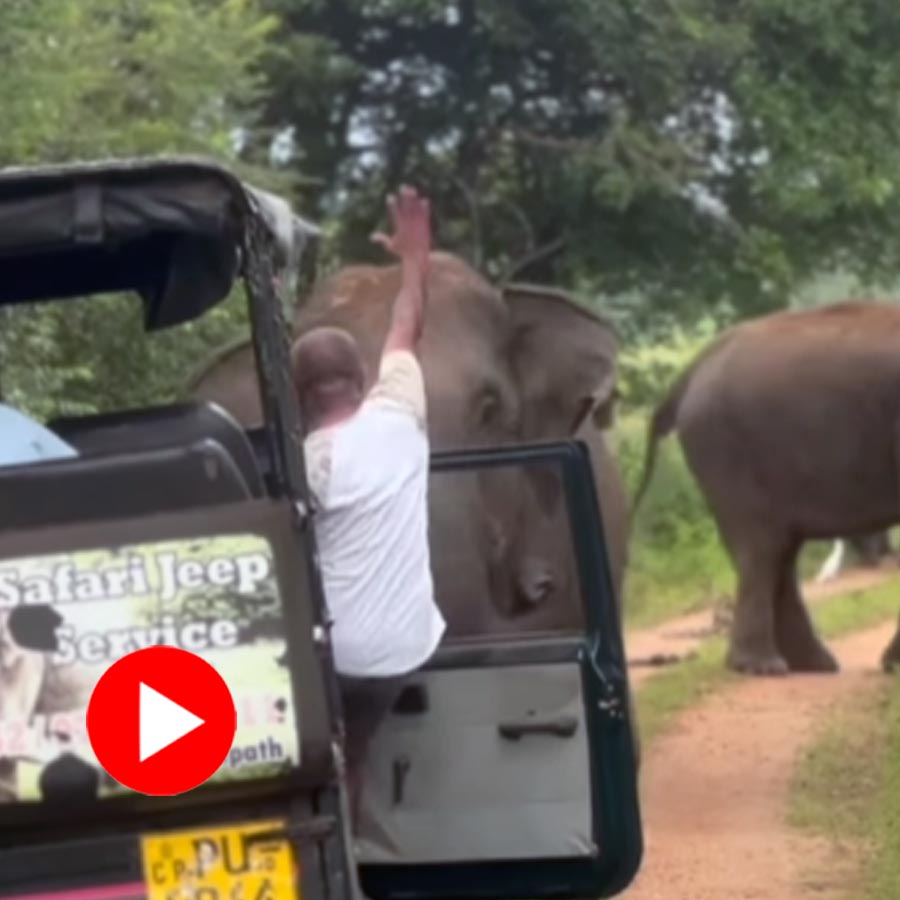 Video of a brave Sri Lankan safari guide stopping a charging elephant goes viral dgtl