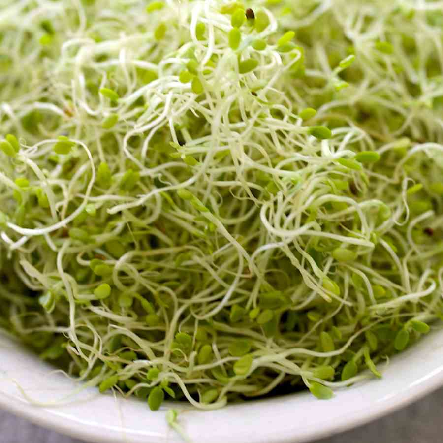 5 potential health benefits of eating sprouts regularly dgtl