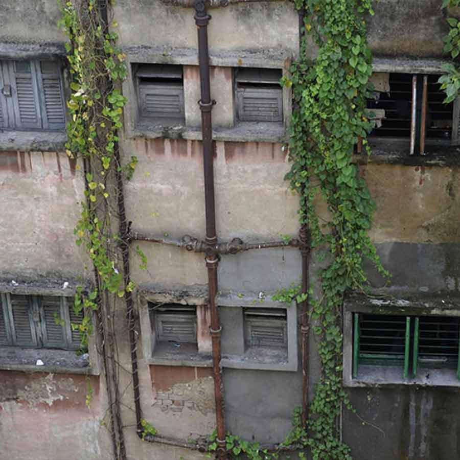 Public representatives are so busy with the work of the country that they don't have time to look at all these small things