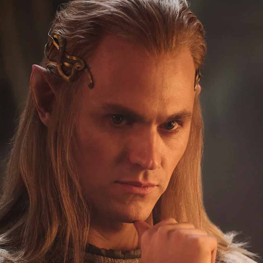 ছবির সঙ্গে তুলনা করলে জানা যায়, ‘দ্য লর্ড অফ দ্য রিংস’-এর তিনটি ছবি প্রযোজনা করতে মোট যা খরচ হয়েছে তা সিরিজ়়ের তুলনায় অনেক কম। তিনটি ছবি মিলিয়ে ভারতীয় মুদ্রায় ২২২৫ কোটি টাকা খরচ হয়েছে।