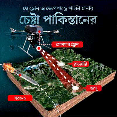 What kind of weapons are reportedly using Pakistan against India dgtl