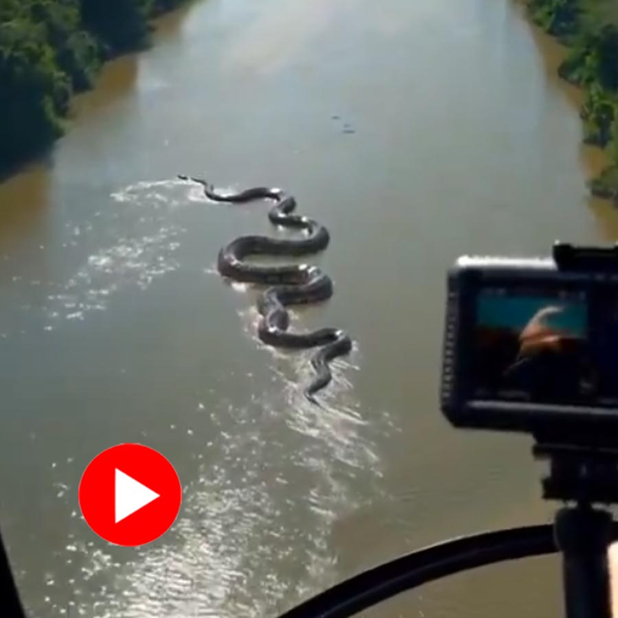 a giant anaconda in the Amazon sparked debate