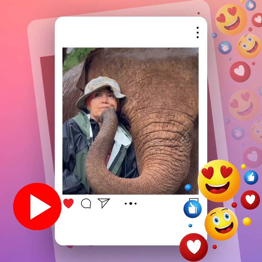 Video of elephant sheltering and kissing woman on rain dgtl