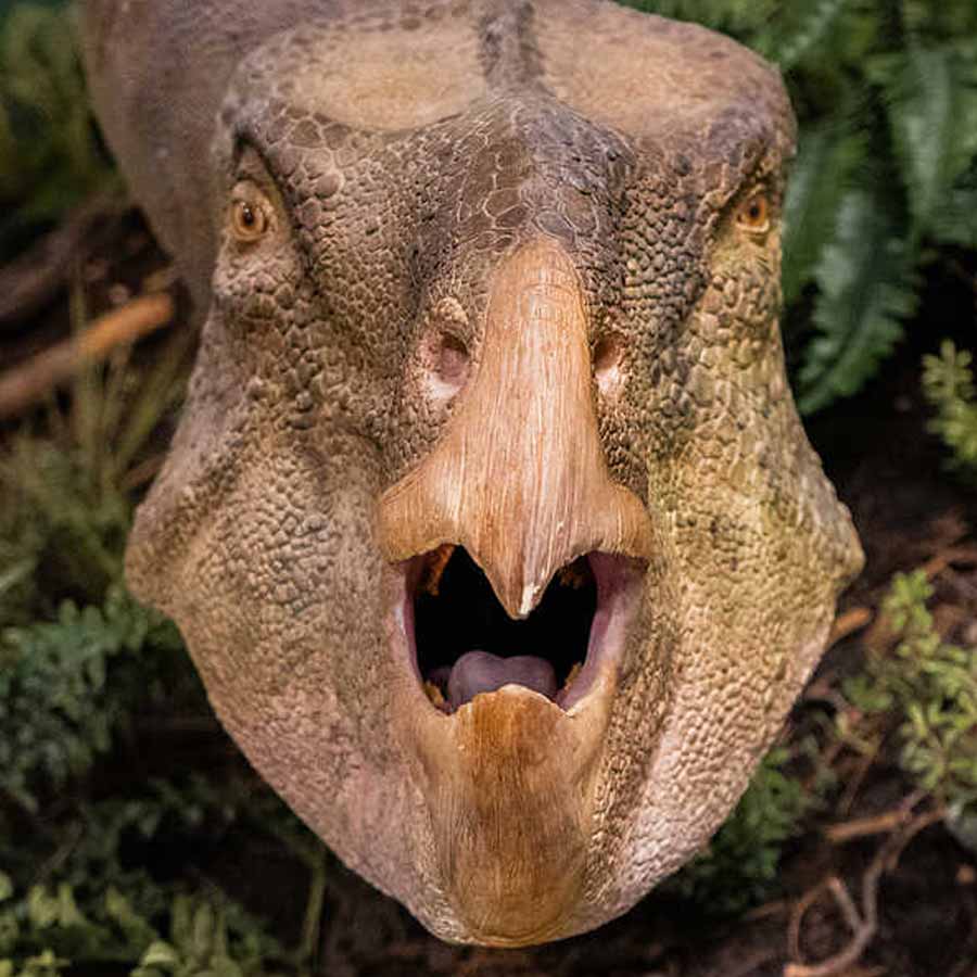 Know about 5 extinct creatures that are scarier than dinosaur