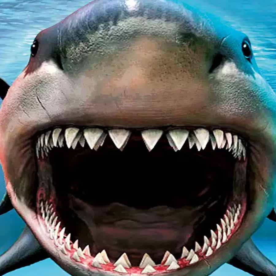 Know about 5 extinct creatures that are scarier than dinosaur