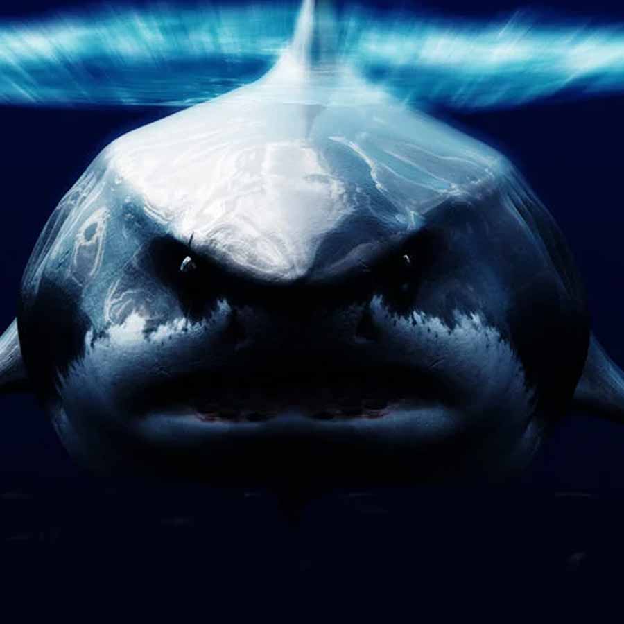 Know about 5 extinct creatures that are scarier than dinosaur