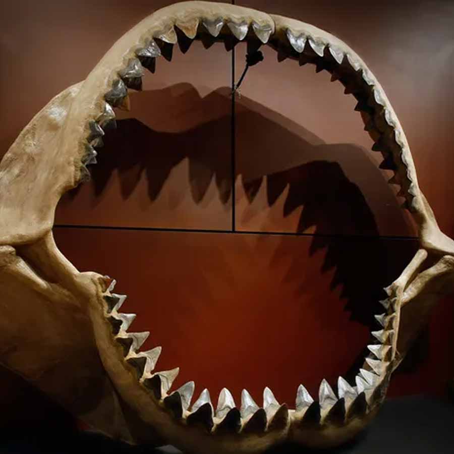 Know about 5 extinct creatures that are scarier than dinosaur