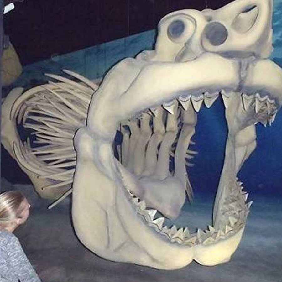 Know about 5 extinct creatures that are scarier than dinosaur