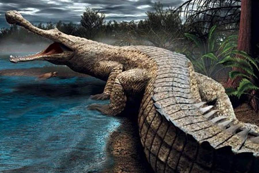 Know about 5 extinct creatures that are scarier than dinosaur