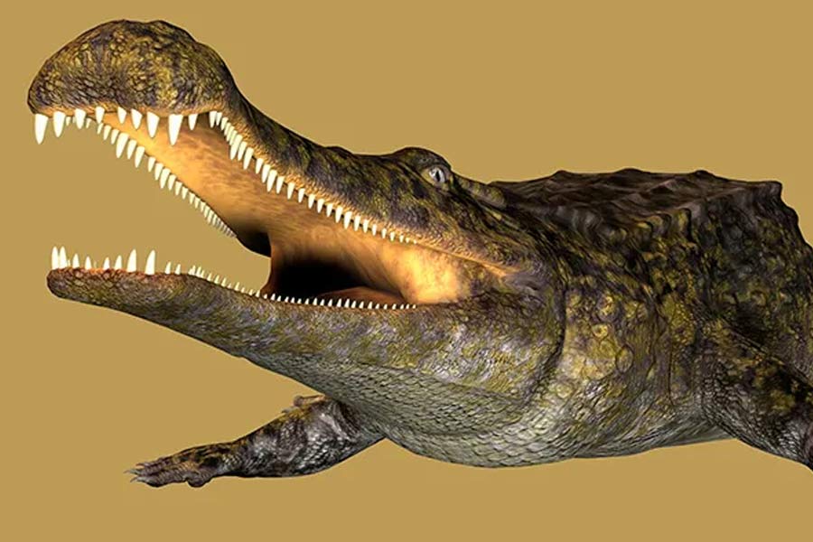 Know about 5 extinct creatures that are scarier than dinosaur