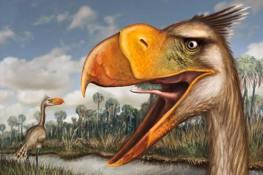 Know about 5 extinct creatures that are scarier than dinosaur