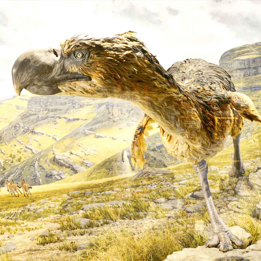 Know about 5 extinct creatures that are scarier than dinosaur