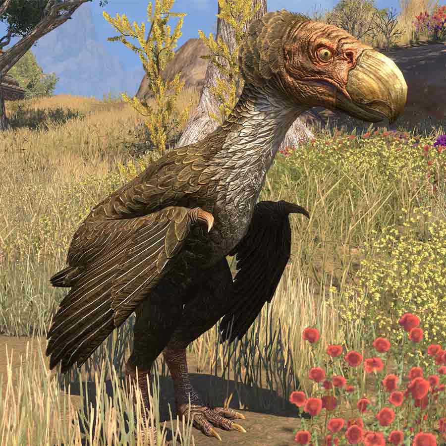 Know about 5 extinct creatures that are scarier than dinosaur