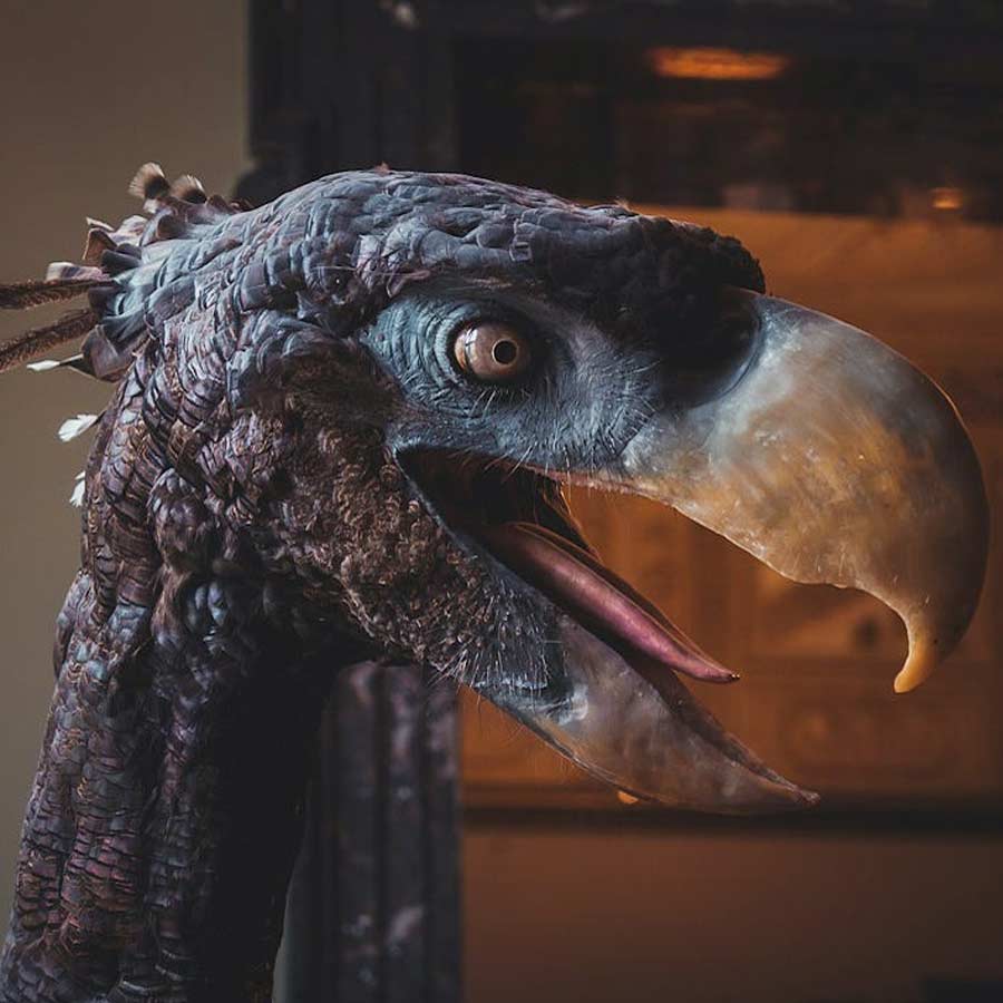 Know about 5 extinct creatures that are scarier than dinosaur