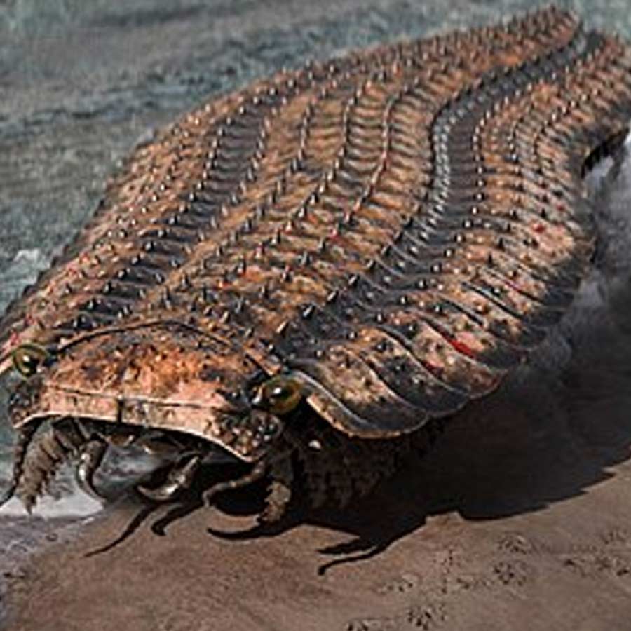 Know about 5 extinct creatures that are scarier than dinosaur