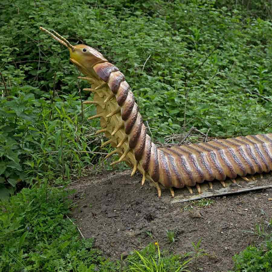 Know about 5 extinct creatures that are scarier than dinosaur