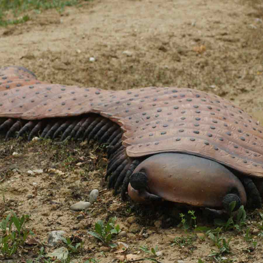 Know about 5 extinct creatures that are scarier than dinosaur