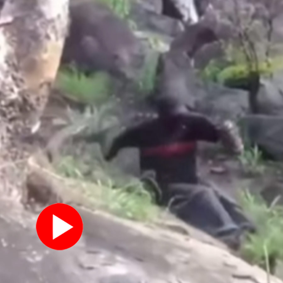 Video of a man falling down a hill while getting chased by a snake goes viral dgtl