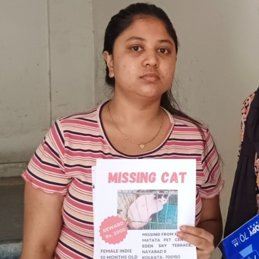 Woman files complaint in Narendrapur Police station after cat missing from hospital dgtld