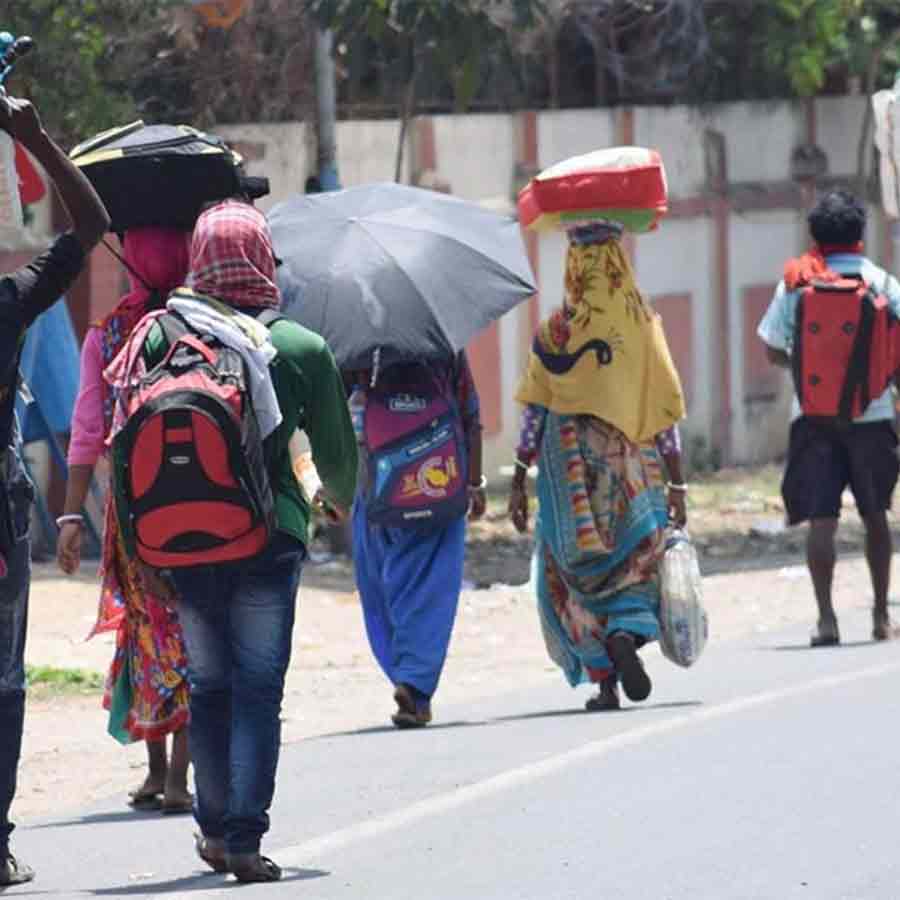 Several Bengali-speaking migrant workers from Nadia and South 24 Parganas were detained again in Haryana and Odisha on suspicion of being Bangladeshi