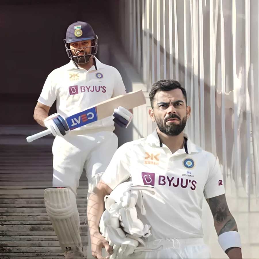 cricket