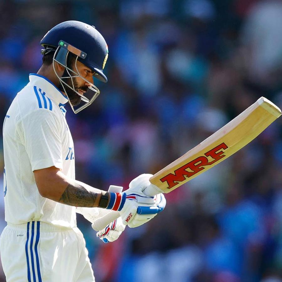 cricket