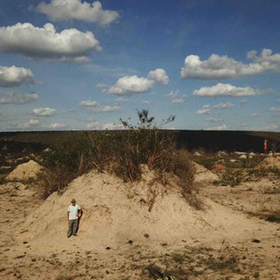 Ancient termite Tunnel in brazil
