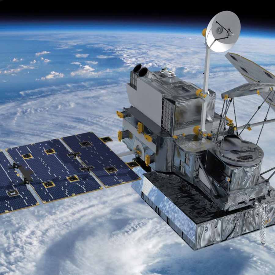 Ancient termite Tunnel in brazil