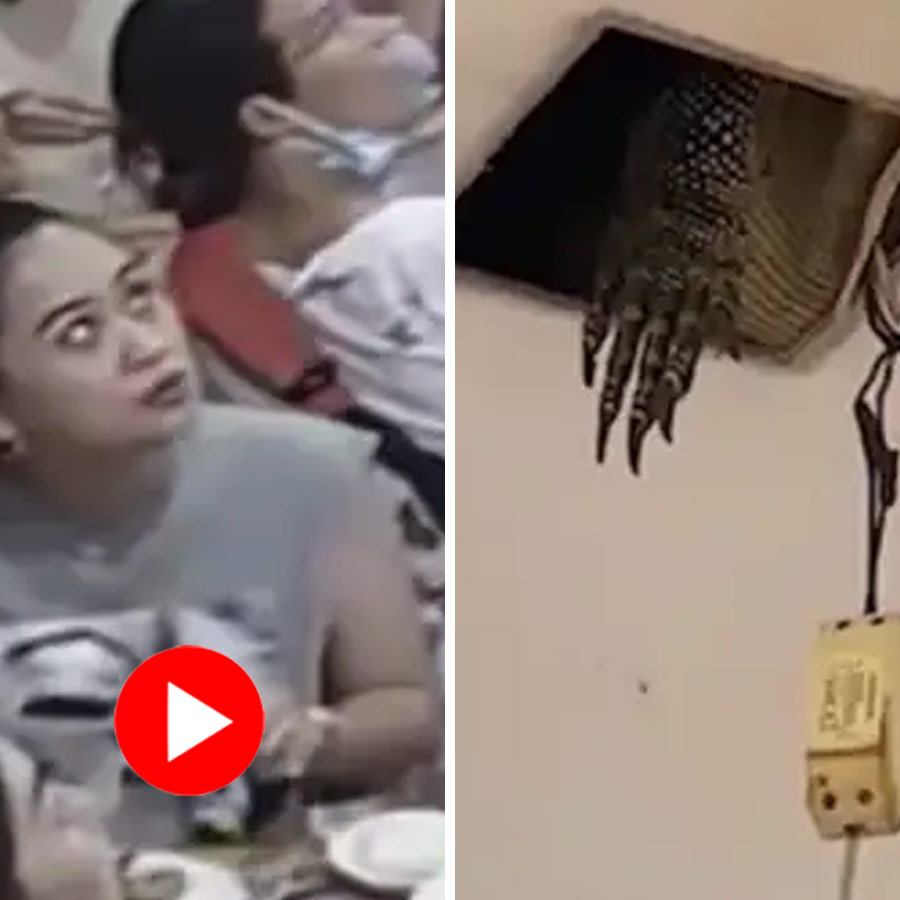 monitor lizard broke and entered from ceiling in restaurant