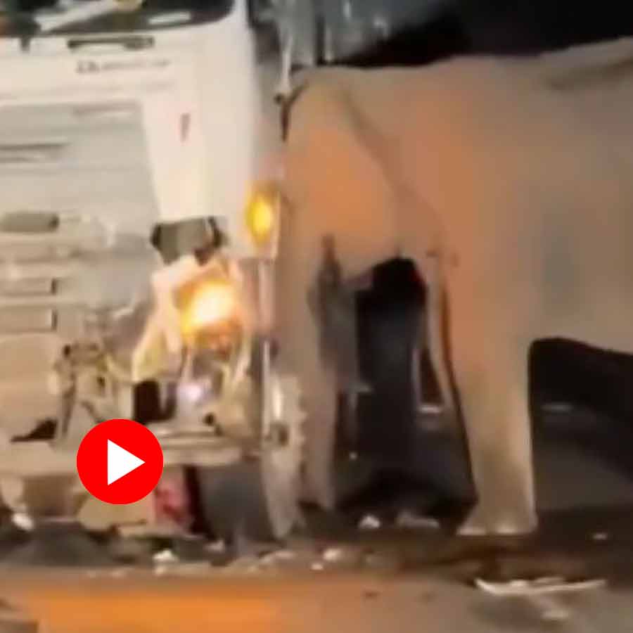 Video shows mother elephant pushing vehicle that killed calf in Malaysia