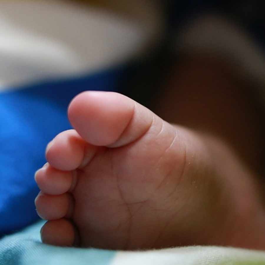 Maharashtra govt hospital declared newborn dead, it found alive just before cremation dgtl